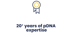 plasmid-20+-expertise