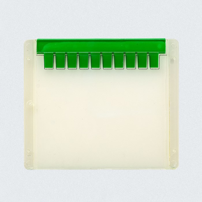 Picture showing an iD PAGE Gel, 8percent, 10 wells